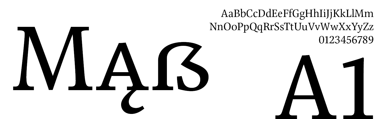 Libert Serif Font Family Regular