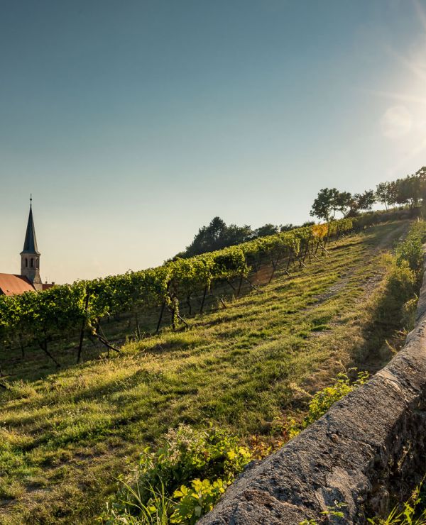 Hauptbild für KRUG