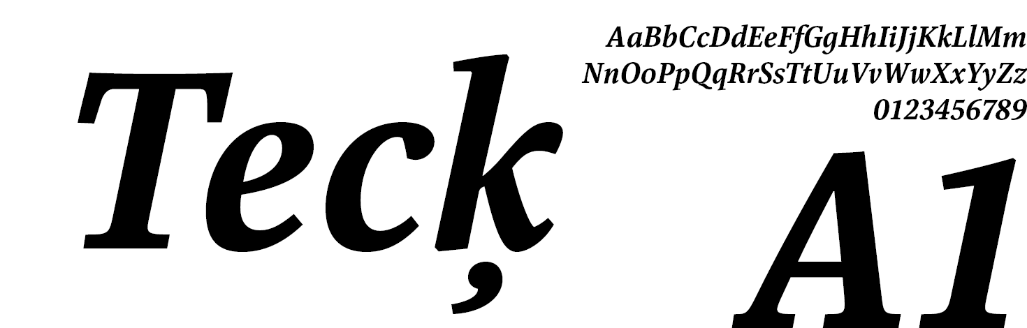 Libert Serif Font Family Bold-Italic
