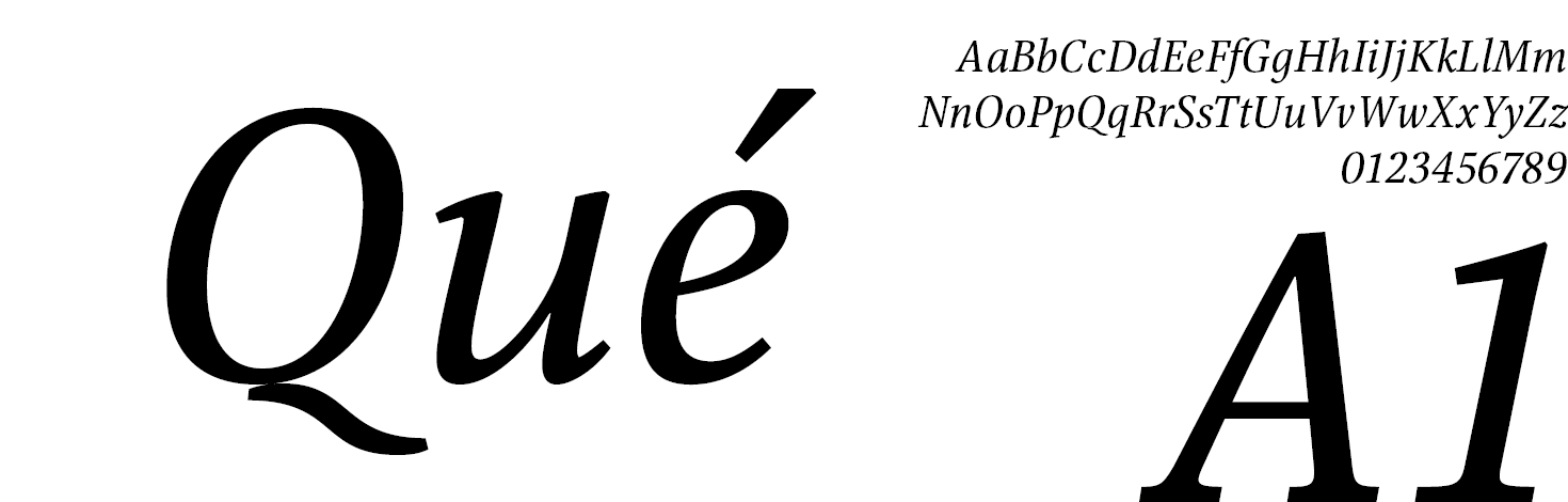 Libert Serif Font Family  Italic