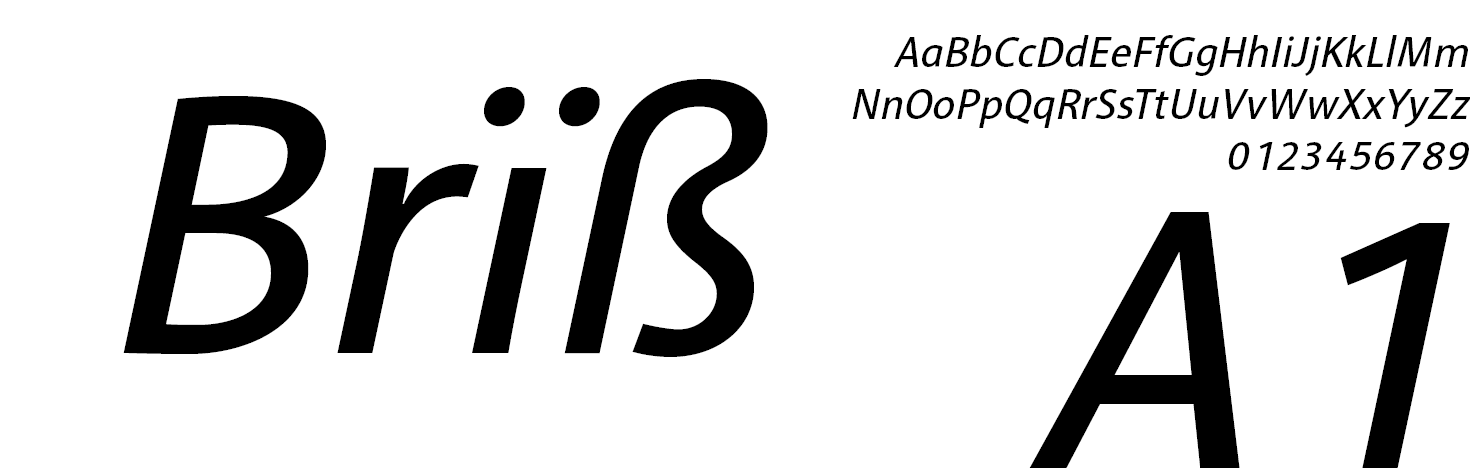 Font Family Libertin Italic
