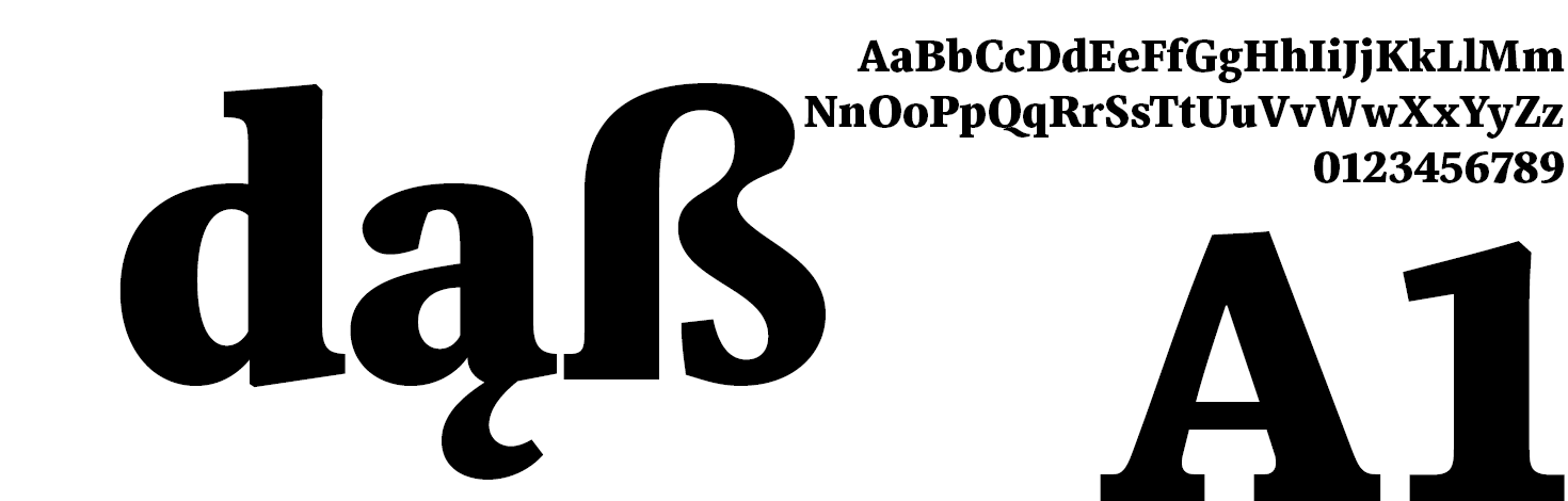 Libert Serif Font Family Heavy