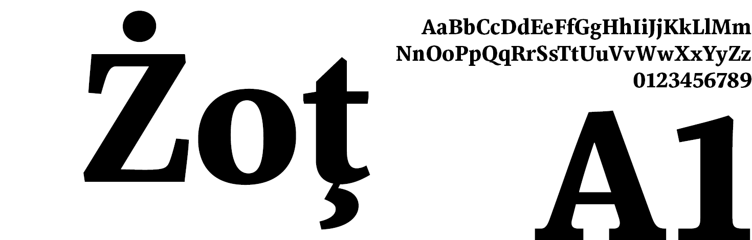 Libert Serif Font Family