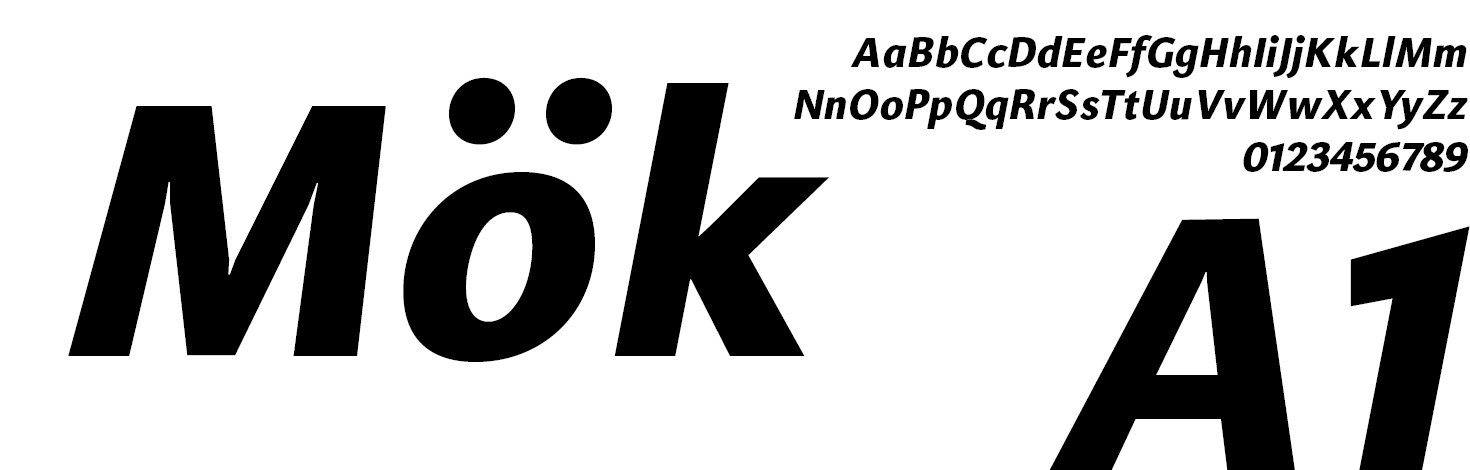 Libert Sans Font Family Heavy-Italic