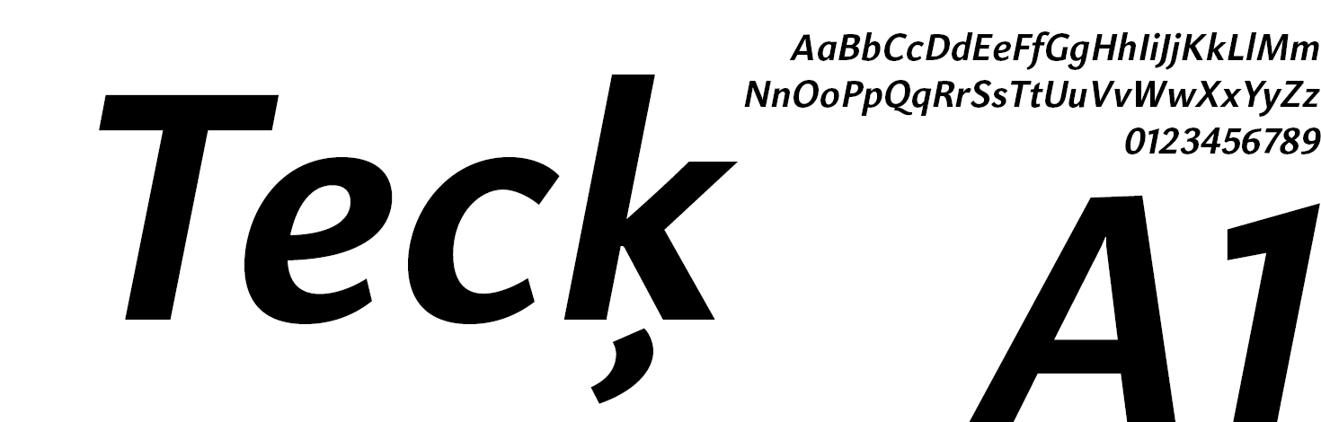 Libert Sans Font Family Bold-Italic