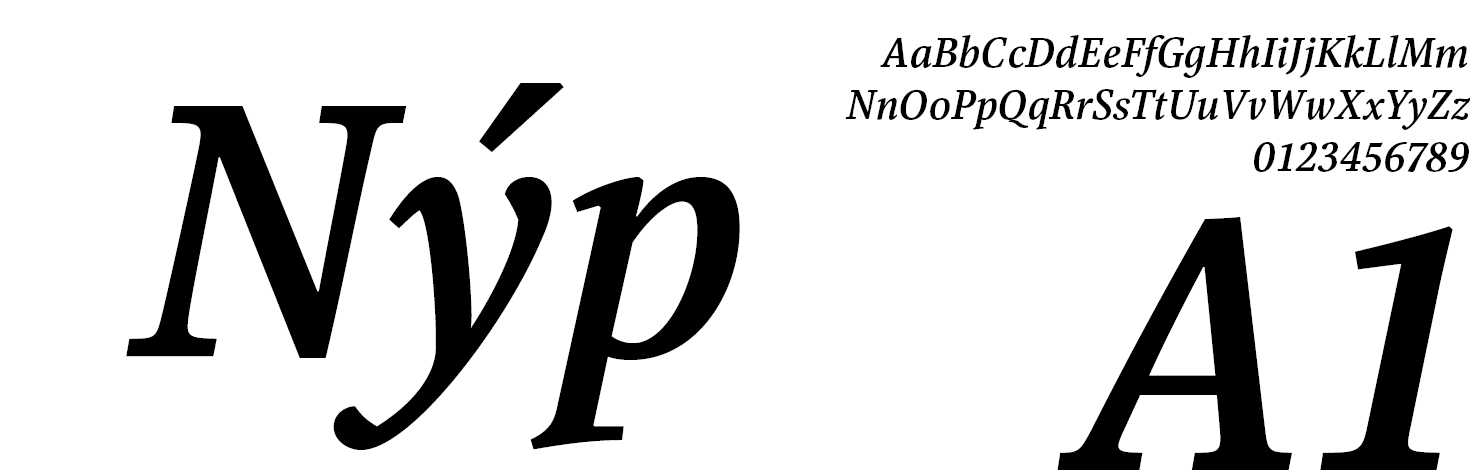 Libert Serif Font Family